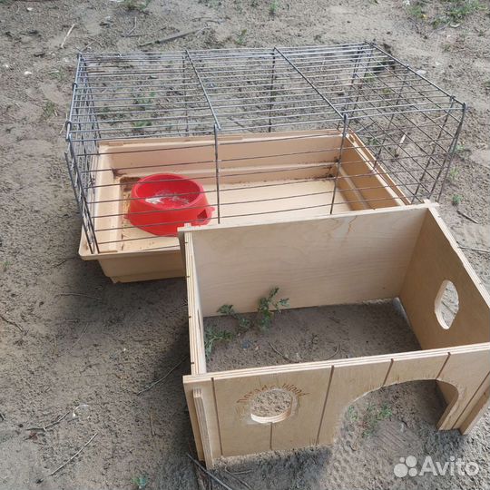 Клетка