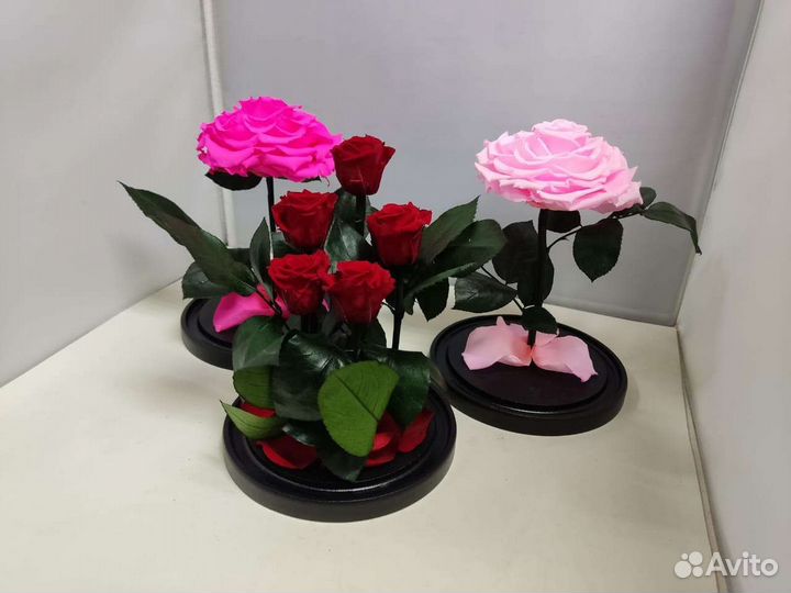 Подарок на новый год / Цветы