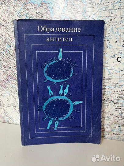 Образование антител Л. Глинна;М. Стьюрда