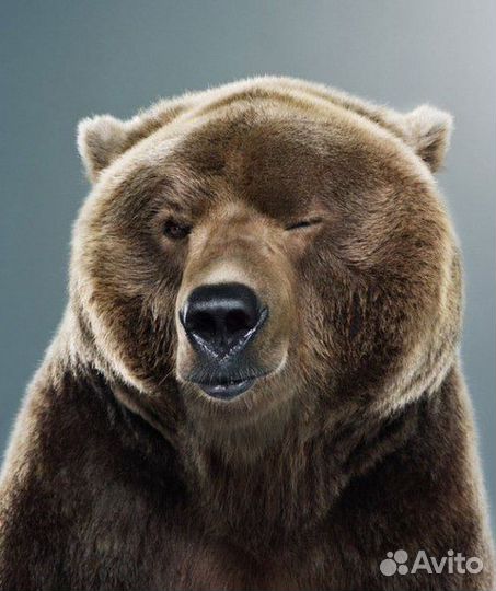 Мастер на час сантехника электрика