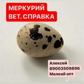 Яйца перепелиные фермерские