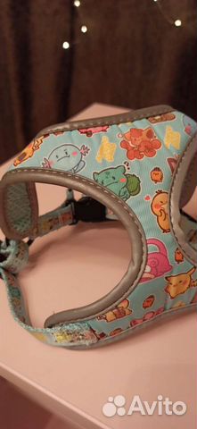 Шлейка для маленькой собаки