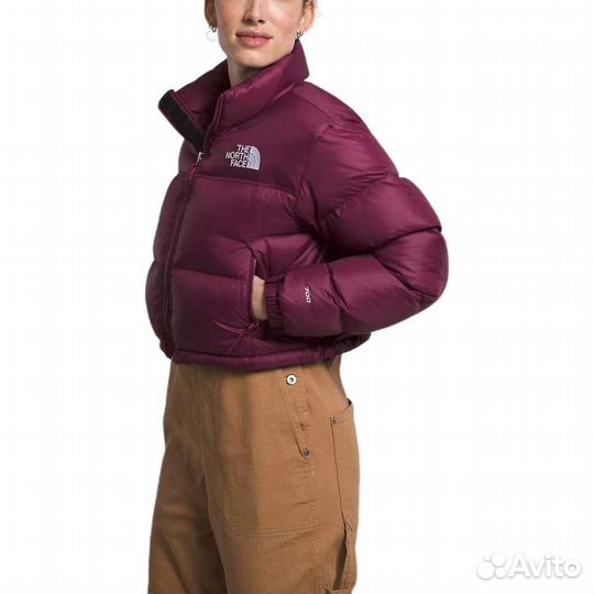 THE north face Nuptse Jacket Women's Plum (XL)(44)