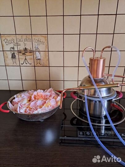 Гидролатор