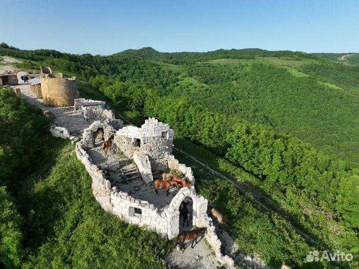 Джиппинг тур поездка в горы к водопадам. Экскурсия