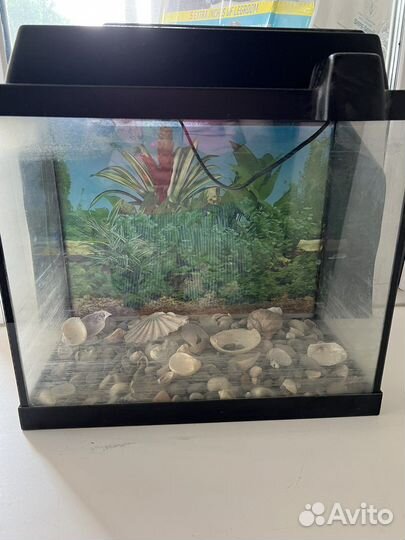Аквариум 40л
