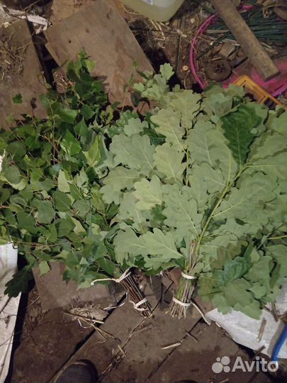 Веники для бани