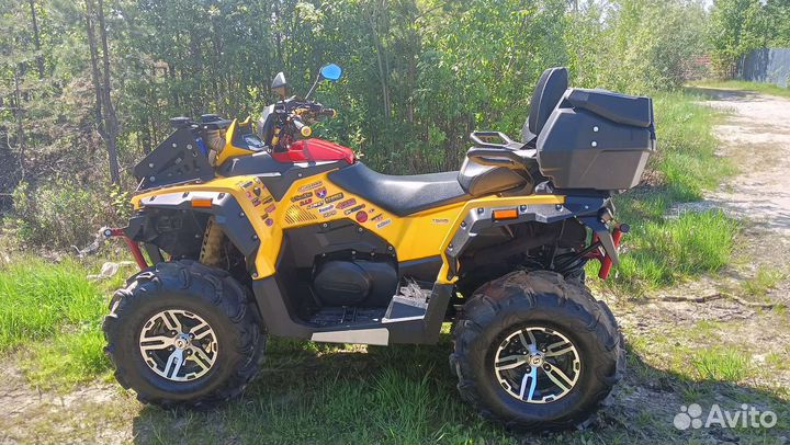 Стелс гепард 650