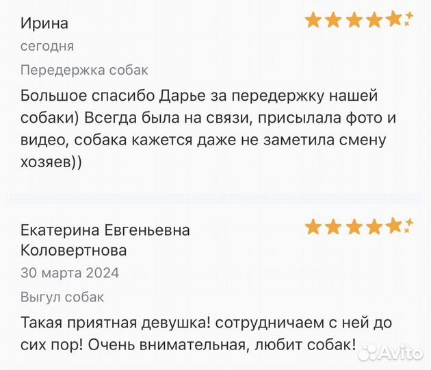 Передержка собак / Выгул собак