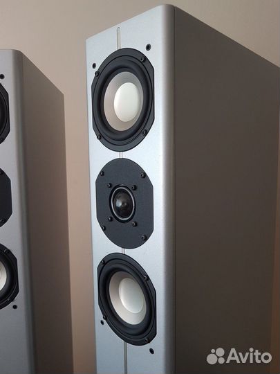 ASW cantius 404 white