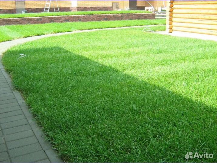 Элитный рулонный газон под ключ