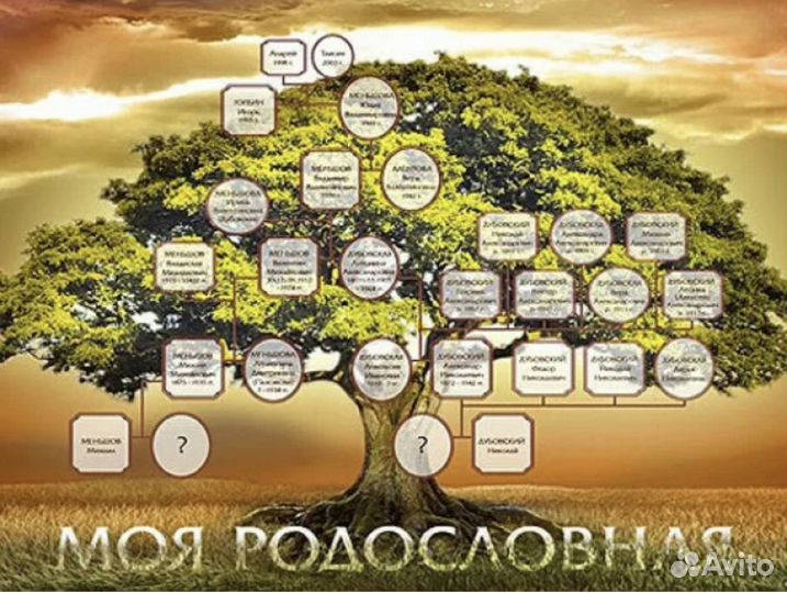 Моя родословная оригинальный подарок школьнику