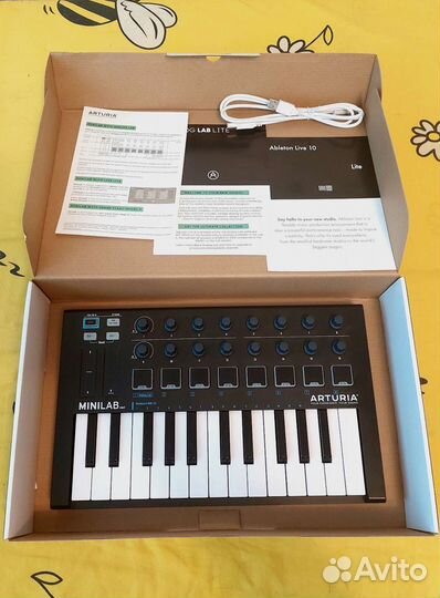 Arturia minilab mk2