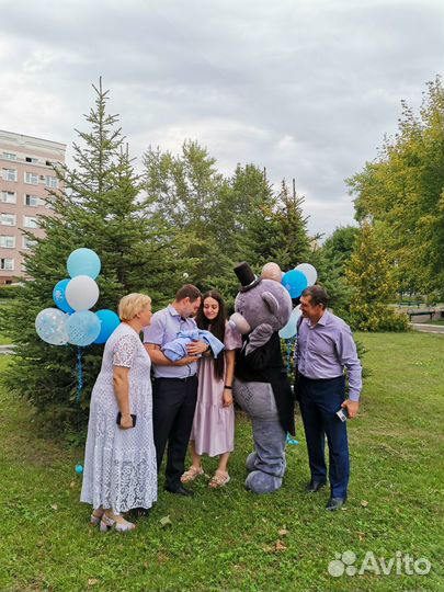 Белый медведь, Тедди на праздник