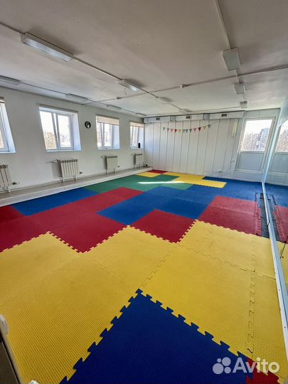 Будо маты 2 см