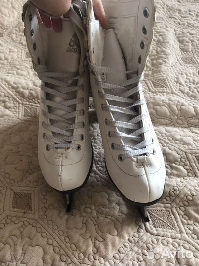 Коньки фигурные Alpha Caprice Grand и Deluxe