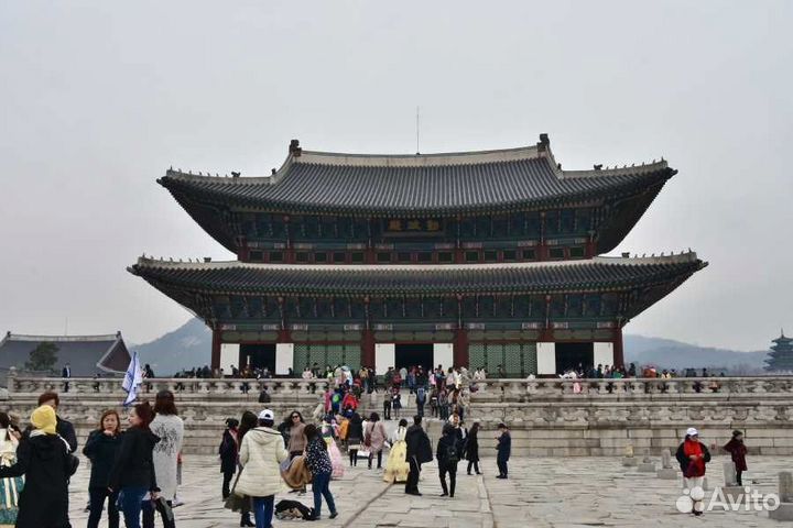 Учитель корейского языка