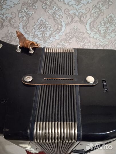 Аккордеон Борей