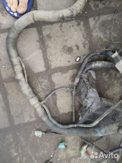 Проводка Ниссан примера п12/р12 QR25 вариатор