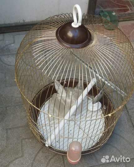 Клетка для попугая обмен