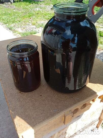 Мед лесной (горный )