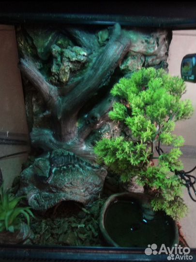 Террариум Repti zoo, 30 x 30 x 30 см