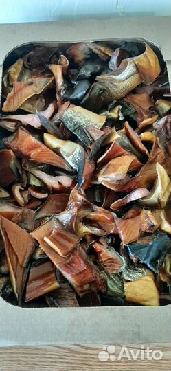 Горбуша кета