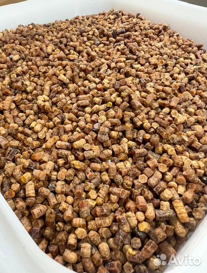 Алтайская перга