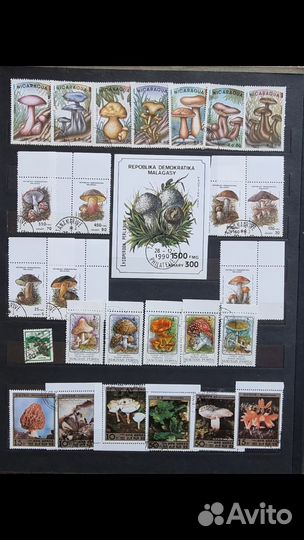 Почтовые марки СССР альбом