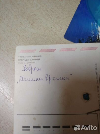 Музыкальные открытки СССР