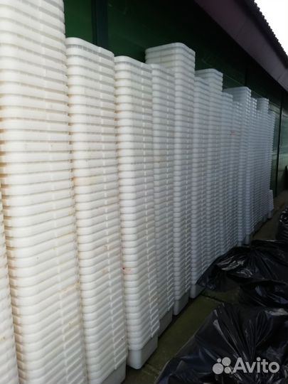 Икорные кубики