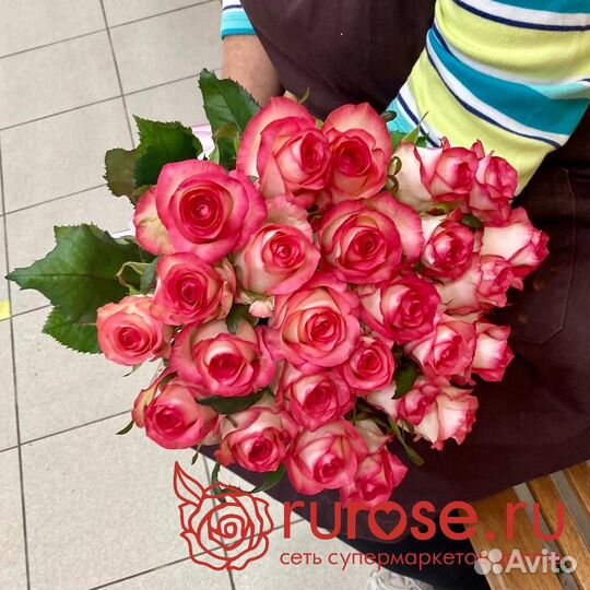 Розы