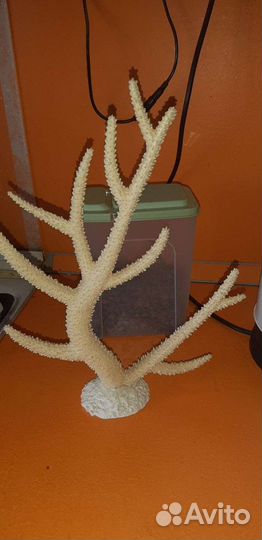 Декор для аквариума