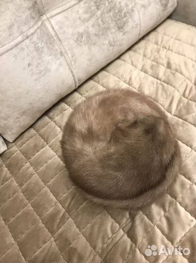 Шапка норковая женская 56 размер