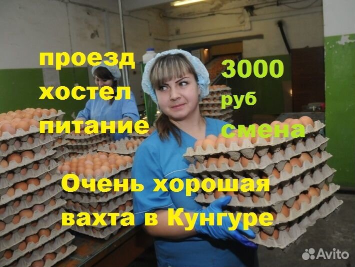 Работа в Пермский крае.Сортировщики(цы) яиц