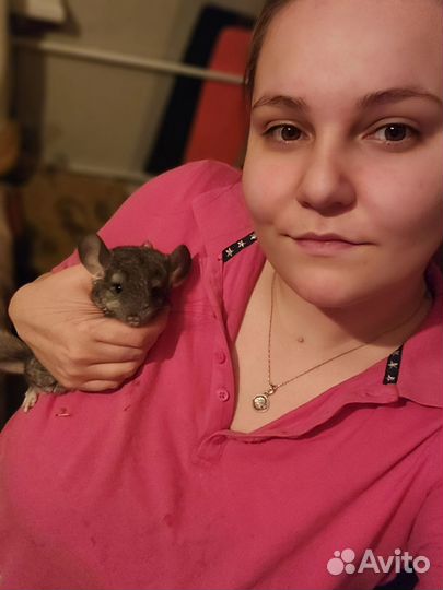 Передержка