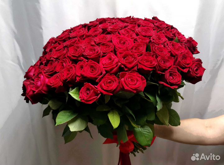 Розы, букет цветов 101 роза