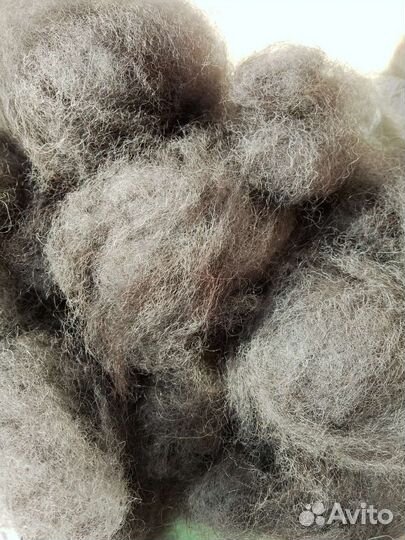 Собачья шерсть тибетского мастифа