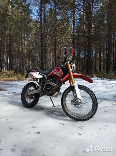 Regulmoto Sport 003