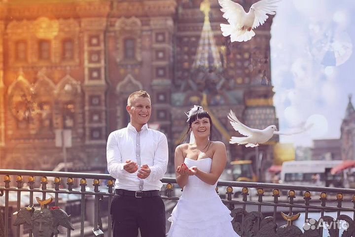 Голуби на свадьбу