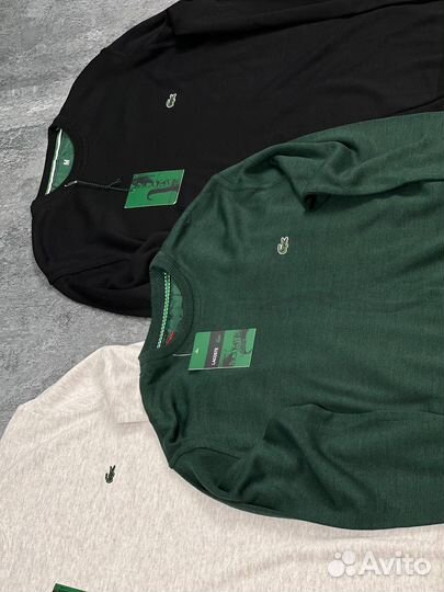 Свитшоты Lacoste