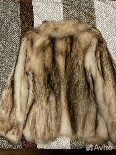 Шуба из енота с английским воротником