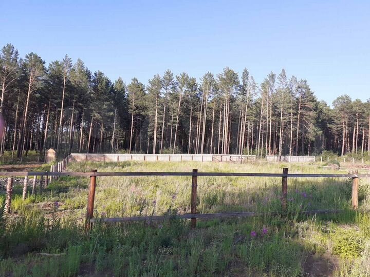 Участок 20 сот. (ИЖС)