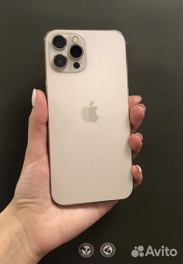 iPhone 12 Pro Max, 256 ГБ
