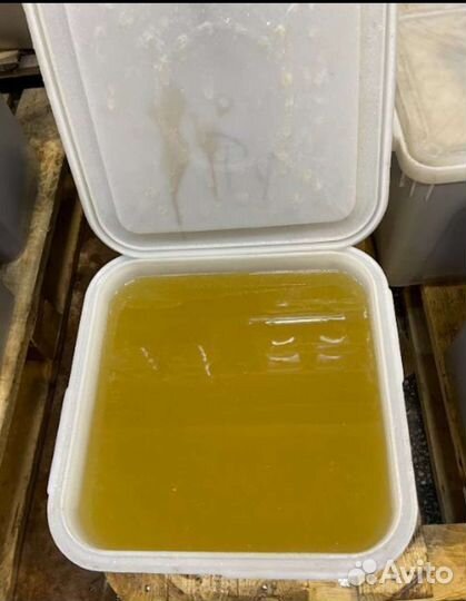 Донниковый мёд 1л