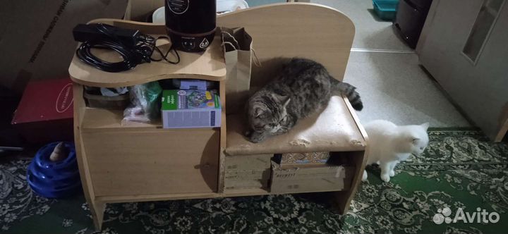 Скамейка из дерева в прихожую бесплатно