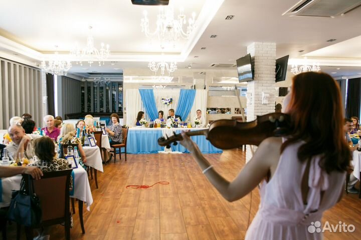 Скрипка, электроскрипка на Ваше торжество