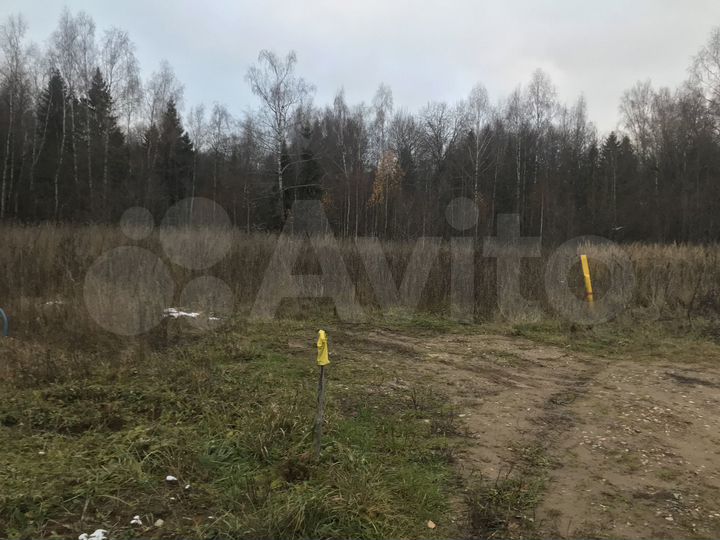 Участок 36 сот. (СНТ, ДНП)