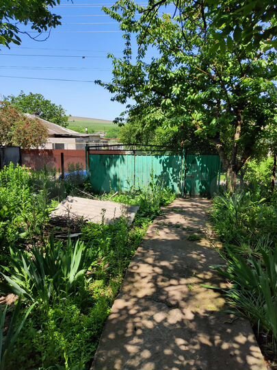 Коттедж 116 м² на участке 12 сот.