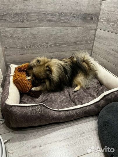 Лежанки для собак и кошек(новые)